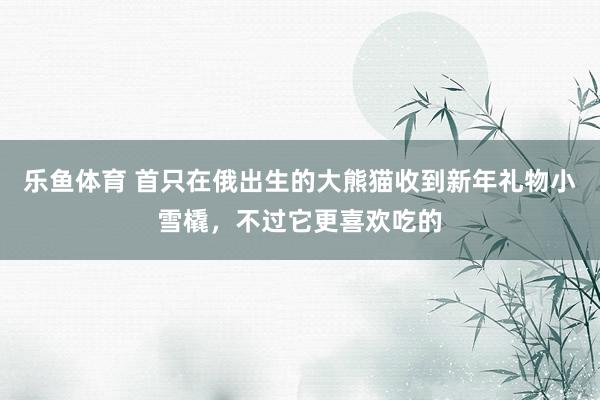 乐鱼体育 首只在俄出生的大熊猫收到新年礼物小雪橇，不过它更喜欢吃的