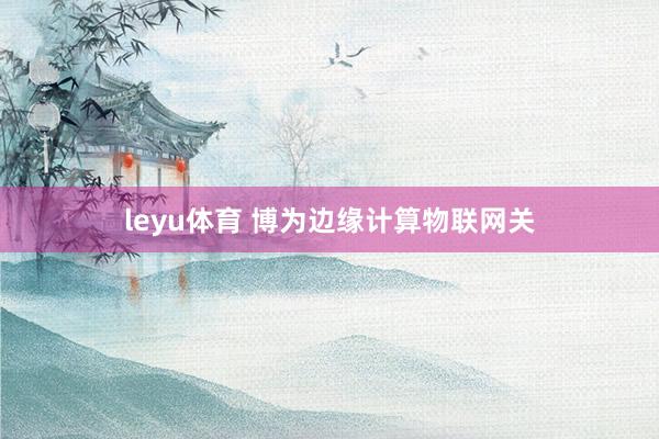 leyu体育 博为边缘计算物联网关