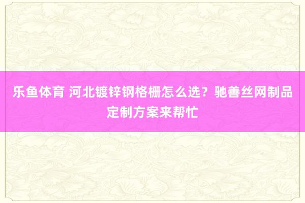 乐鱼体育 河北镀锌钢格栅怎么选？驰善丝网制品定制方案来帮忙