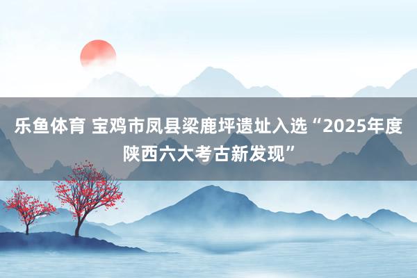 乐鱼体育 宝鸡市凤县梁鹿坪遗址入选“2025年度陕西六大考古新发现”