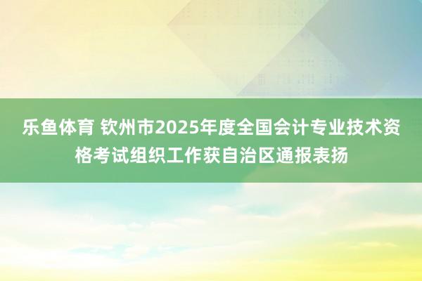 乐鱼体育 钦州市2025年度全国会计专业技术资格考试组织工作获自治区通报表扬