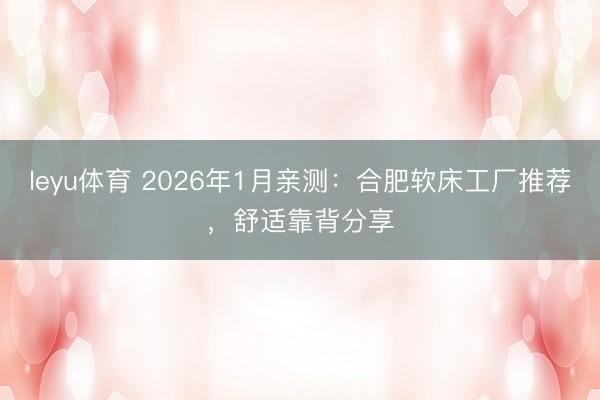 leyu体育 2026年1月亲测：合肥软床工厂推荐，舒适靠背分享