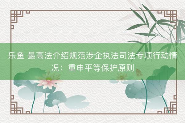乐鱼 最高法介绍规范涉企执法司法专项行动情况：重申平等保护原则