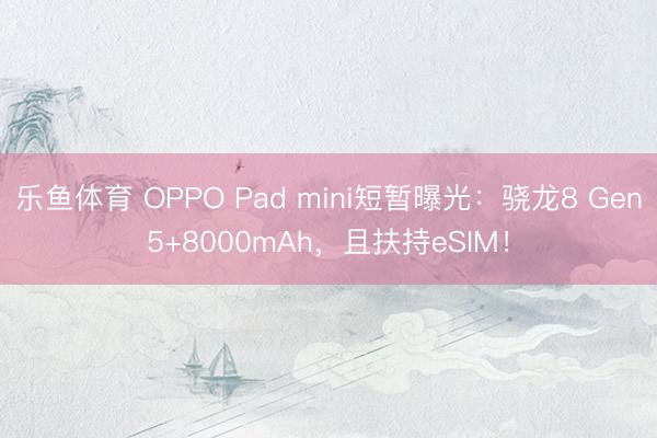 乐鱼体育 OPPO Pad mini短暂曝光：骁龙8 Gen5+8000mAh，且扶持eSIM！