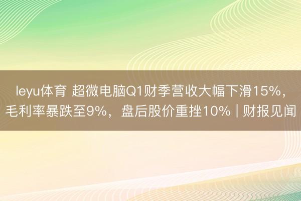leyu体育 超微电脑Q1财季营收大幅下滑15%,毛利率暴跌至9%,盘后股价重挫10% | 财报见闻