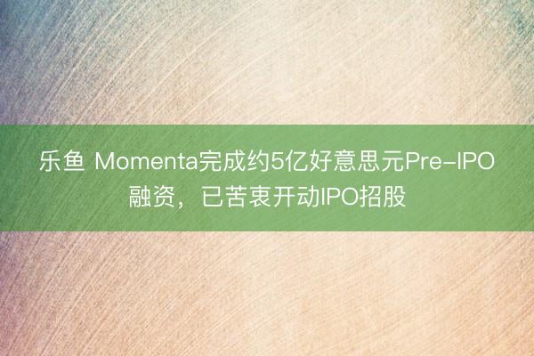 乐鱼 Momenta完成约5亿好意思元Pre-IPO融资，已苦衷开动IPO招股