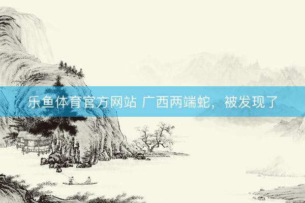乐鱼体育官方网站 广西两端蛇，被发现了